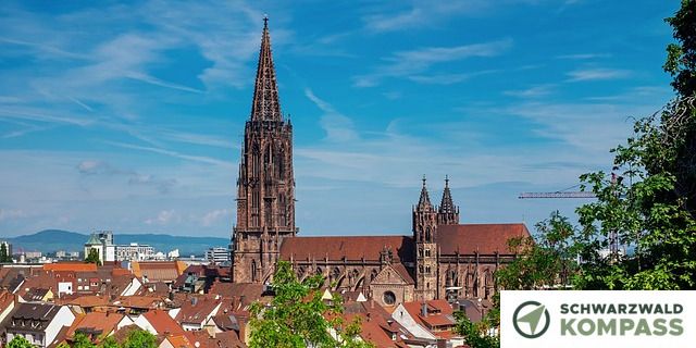 Das Münster ist schön aus dem grünen zu sehen.