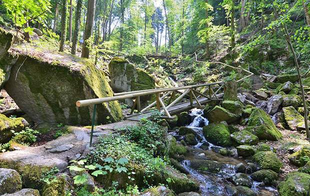 Wandern im Schwarzwald in Sasbachwalden.